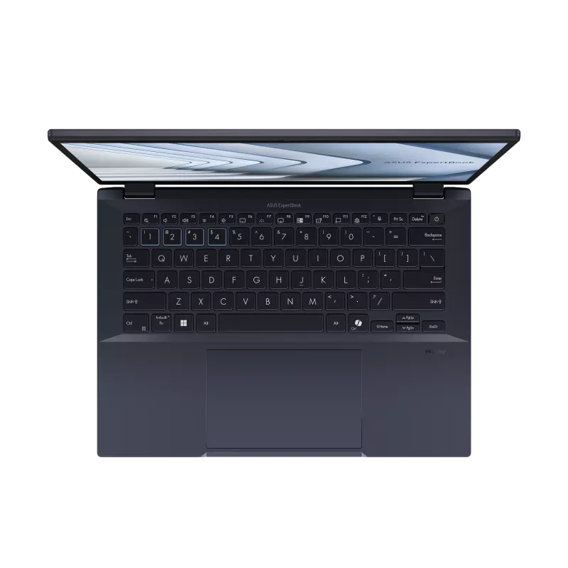 Asus ExpertBook B5